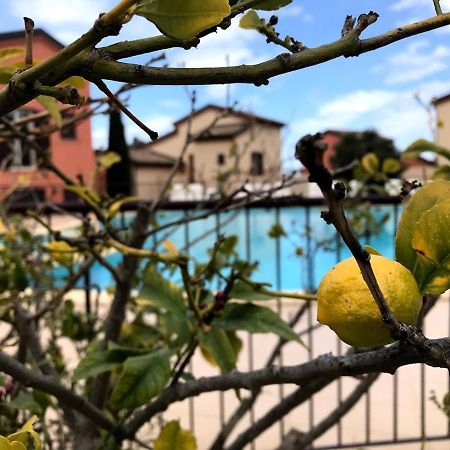 Appartement Dolce Farniente Belgodère Dış mekan fotoğraf