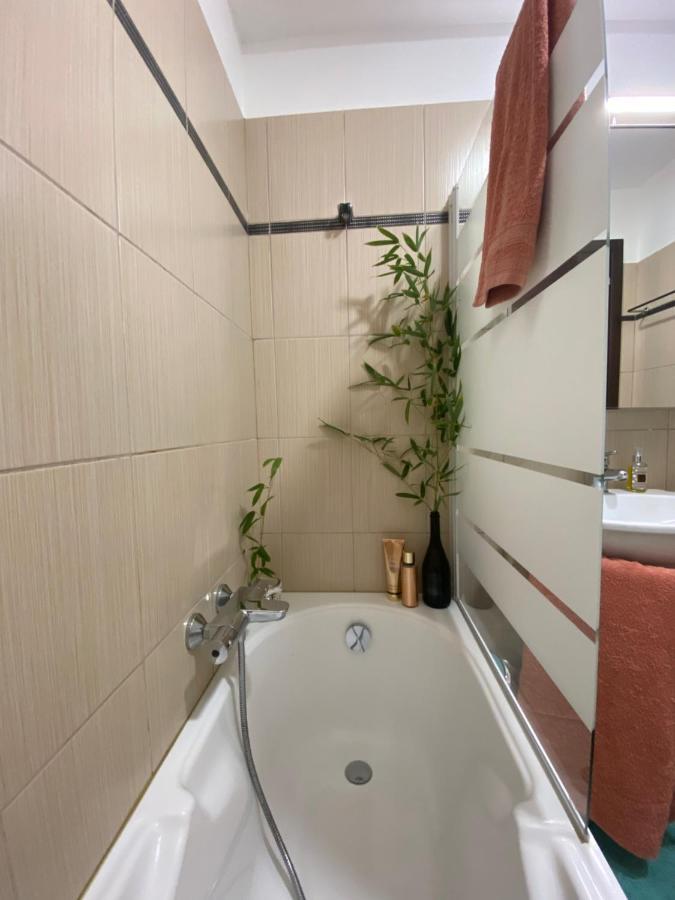 Appartement Dolce Farniente Belgodère Dış mekan fotoğraf